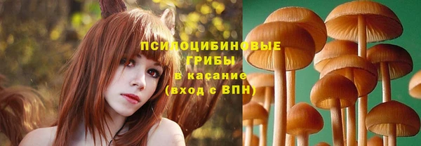 mdpv Гусиноозёрск