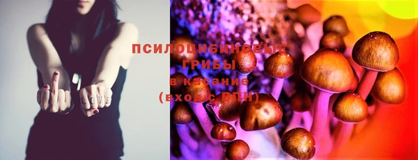 мяу мяу мука Дмитровск
