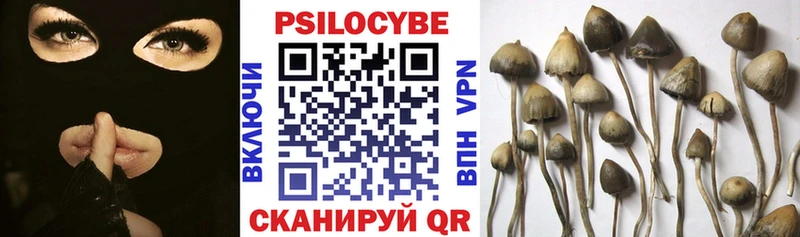 хочу   Стерлитамак  Галлюциногенные грибы ЛСД 
